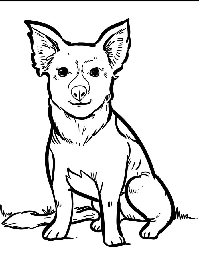 Dog Coloring page (41)