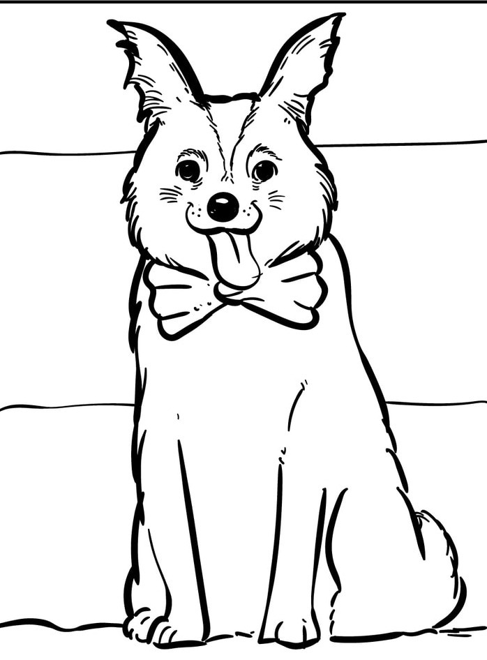 Dog Coloring page (43)