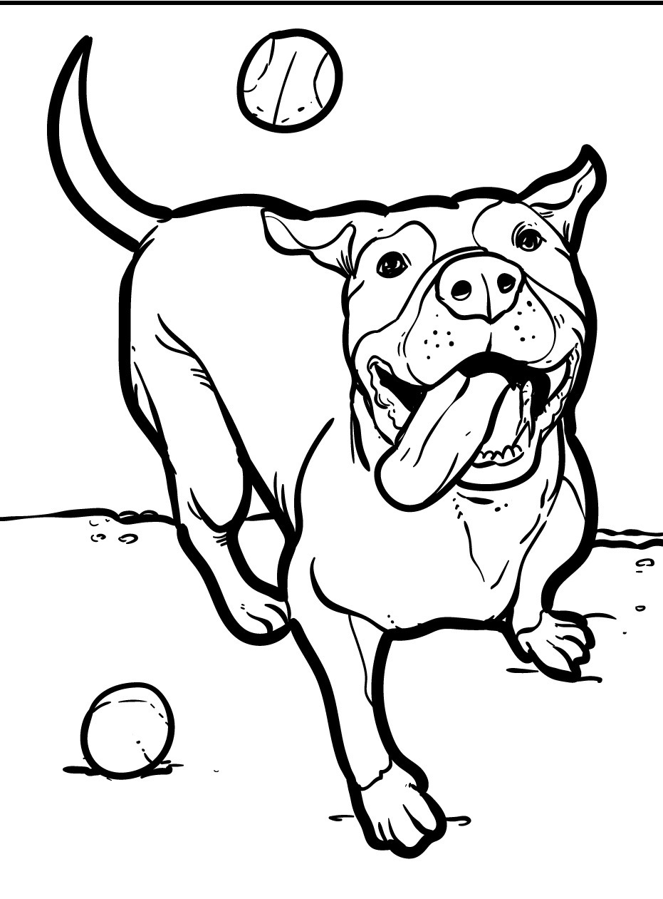 Dog Coloring page (45)