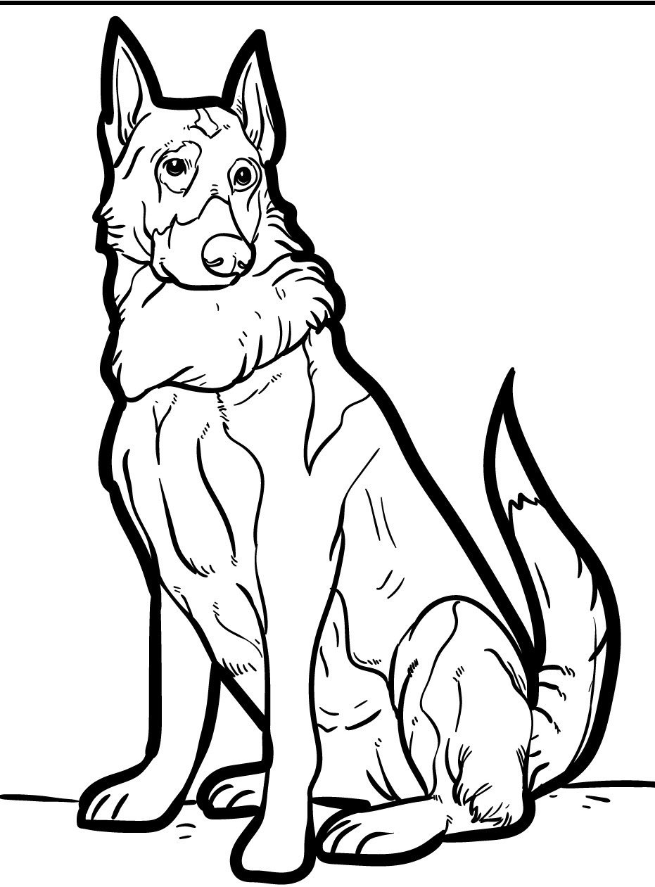 Dog Coloring page (46)