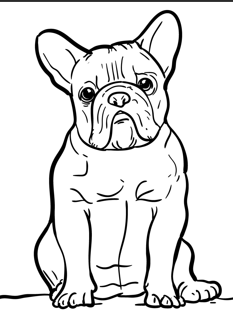 Dog Coloring page (48)