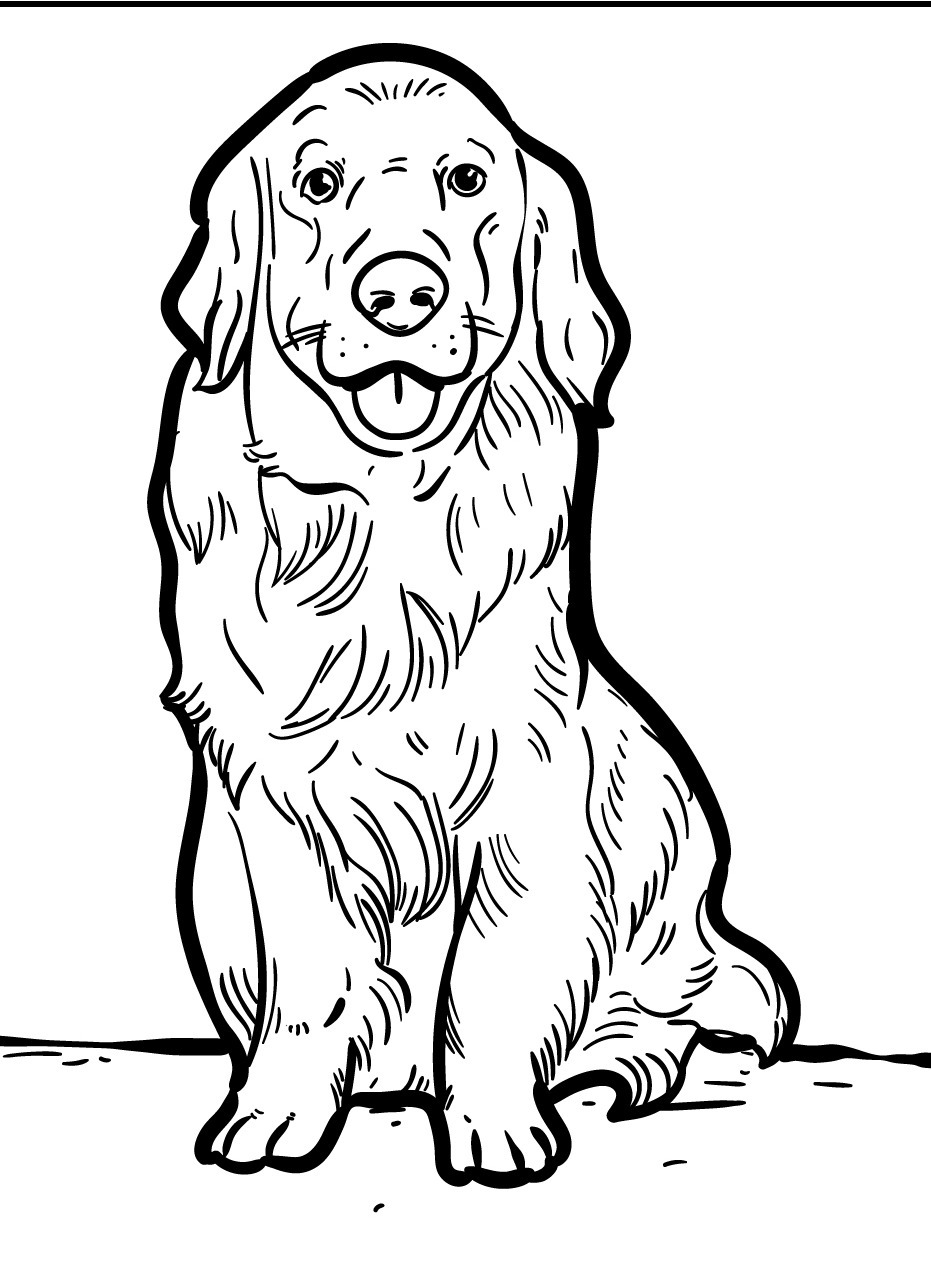 Dog Coloring page (50)