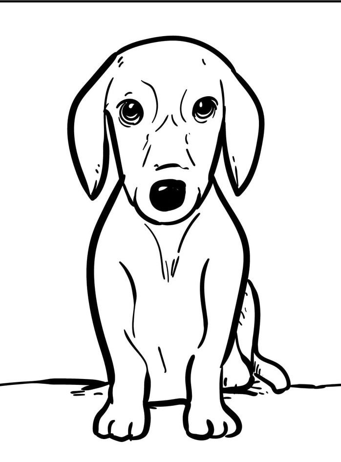 Dog Coloring page (51)