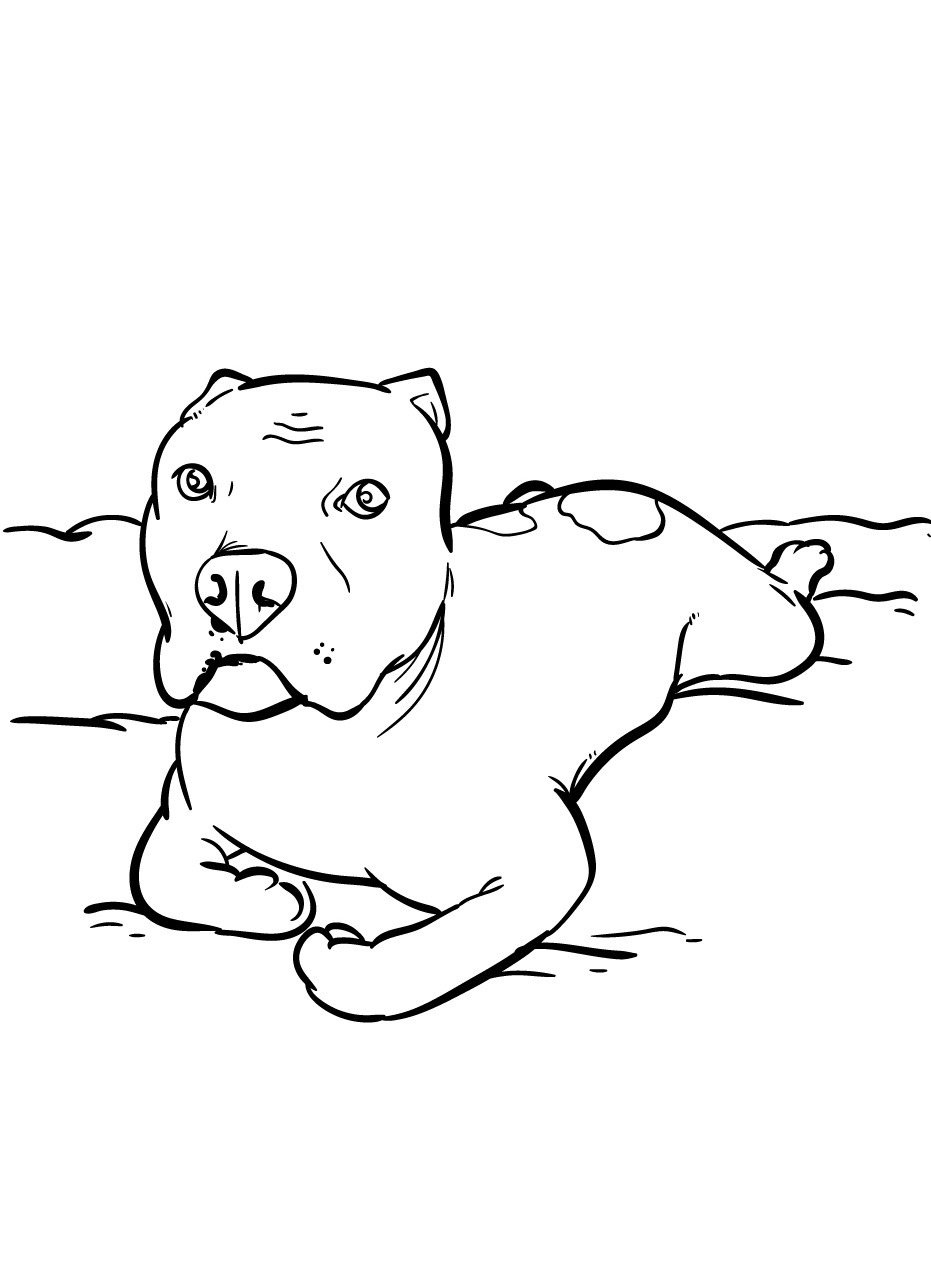 Dog Coloring page (53)