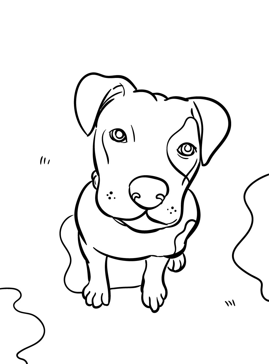 Dog Coloring page (54)