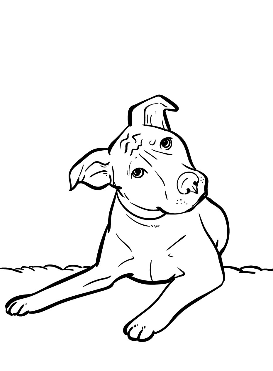 Dog Coloring page (55)