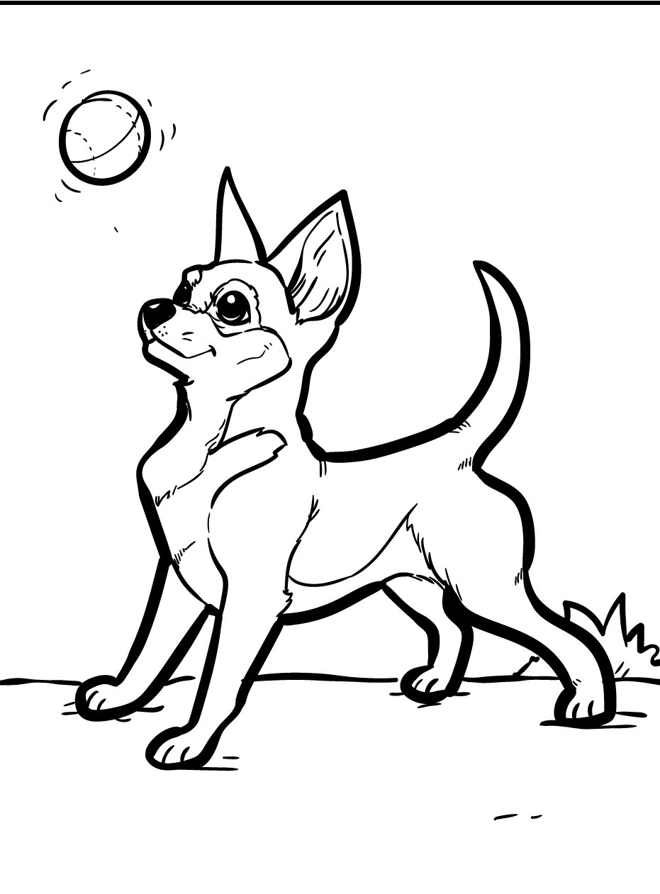 Dog Coloring page (58)