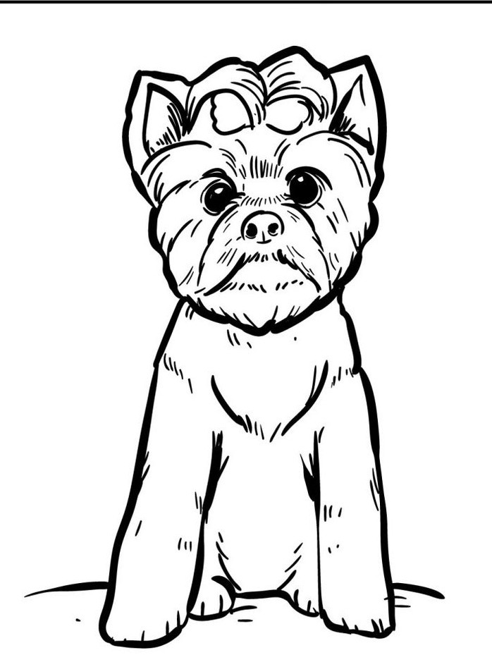 Dog Coloring page (59)