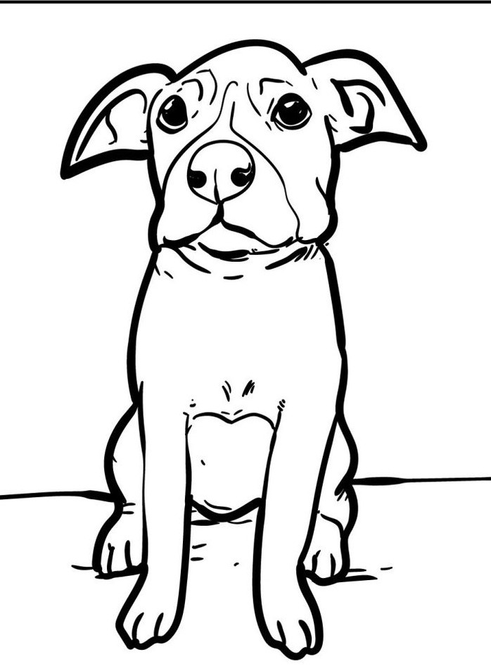 Dog Coloring page (67)