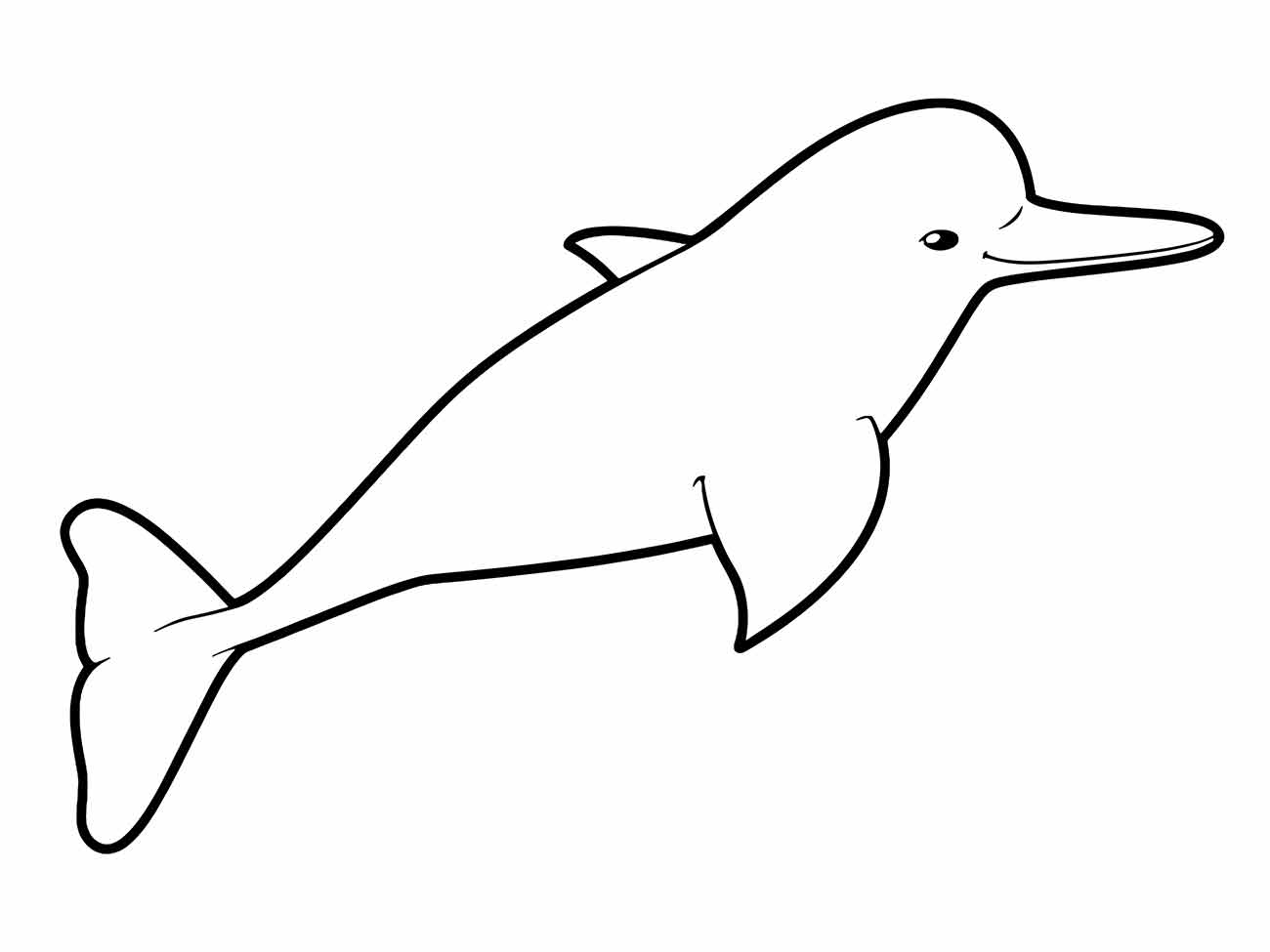 Dolphins coloring page (3)