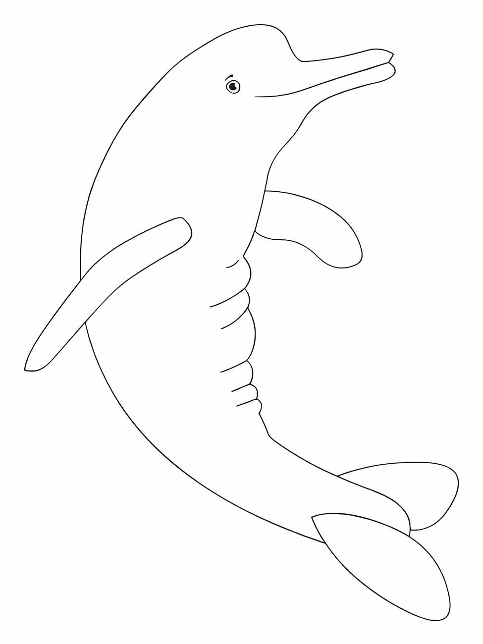 Dolphins coloring page (4)