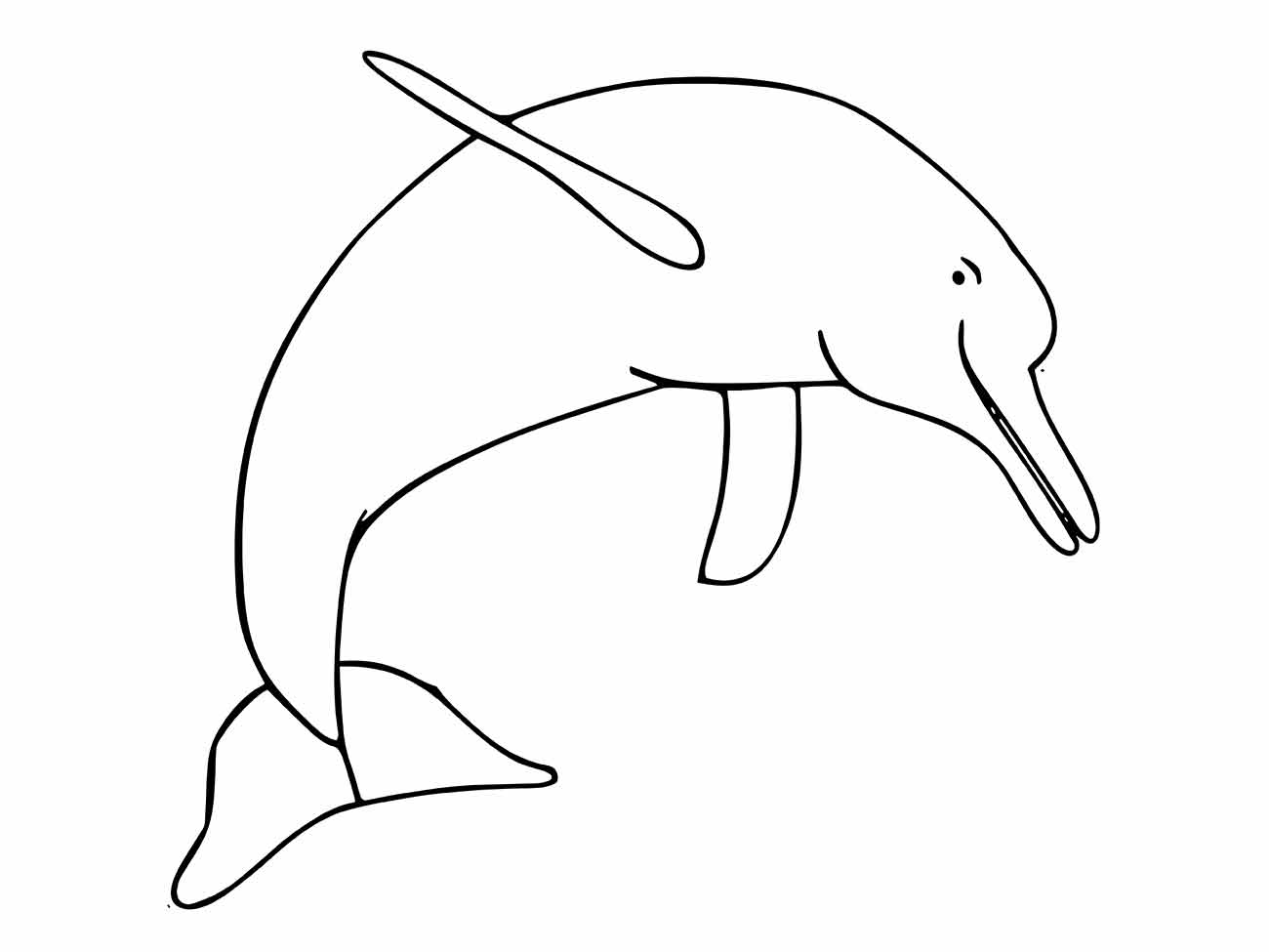 Dolphins coloring page (5)