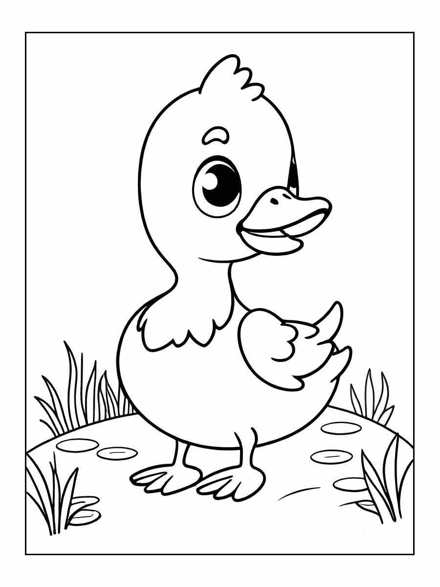 Duck coloring page (1)