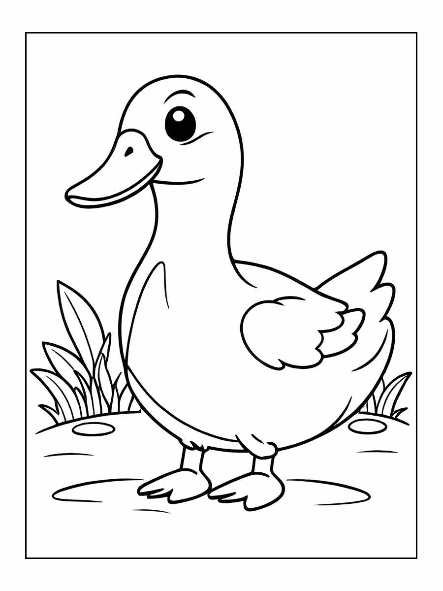 Duck coloring page (10)