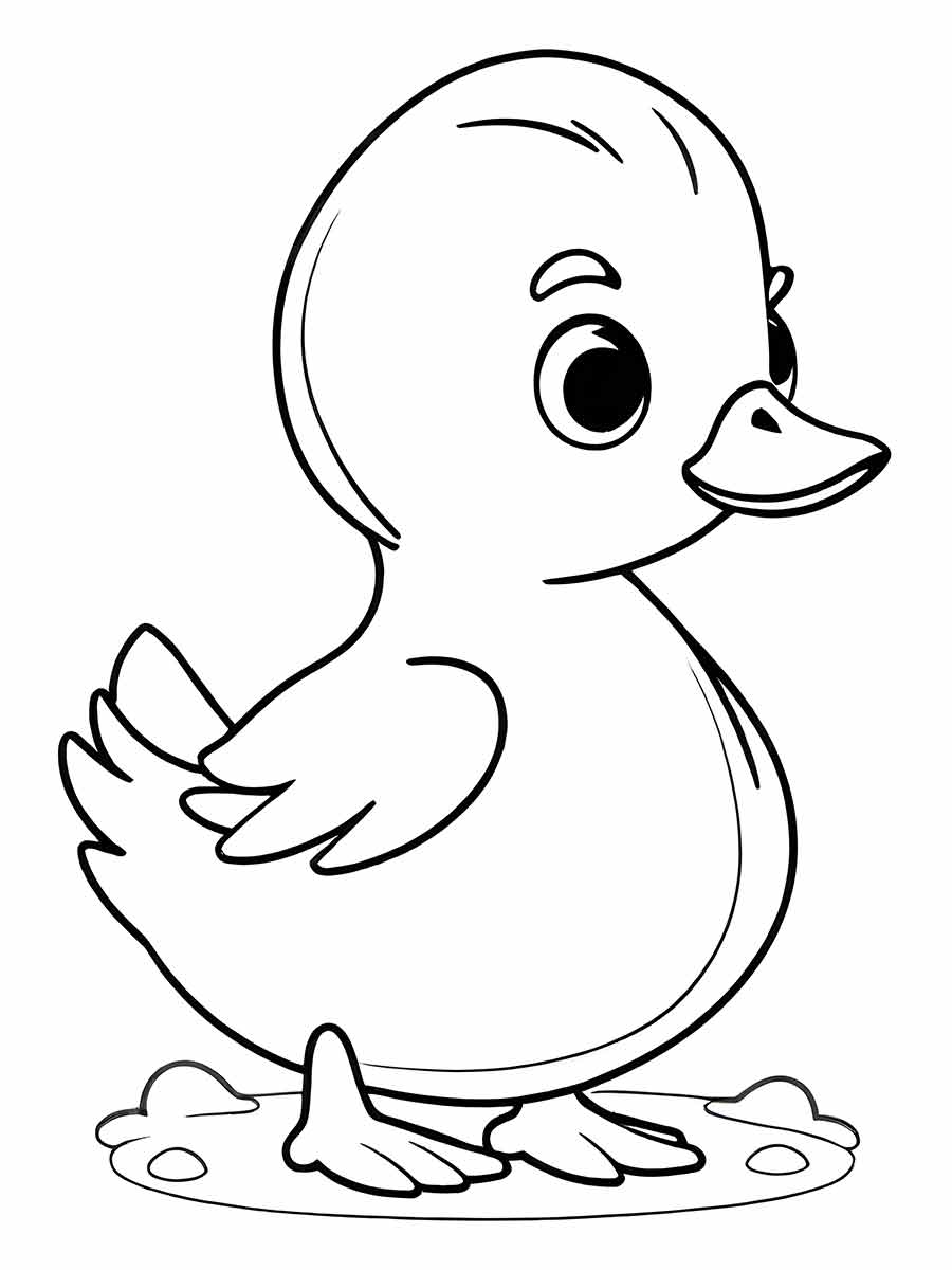 Duck coloring page (11)