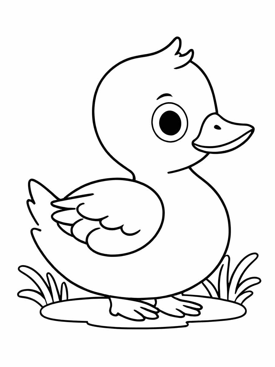 Duck coloring page (12)