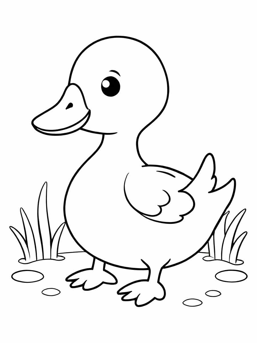 Duck coloring page (13)