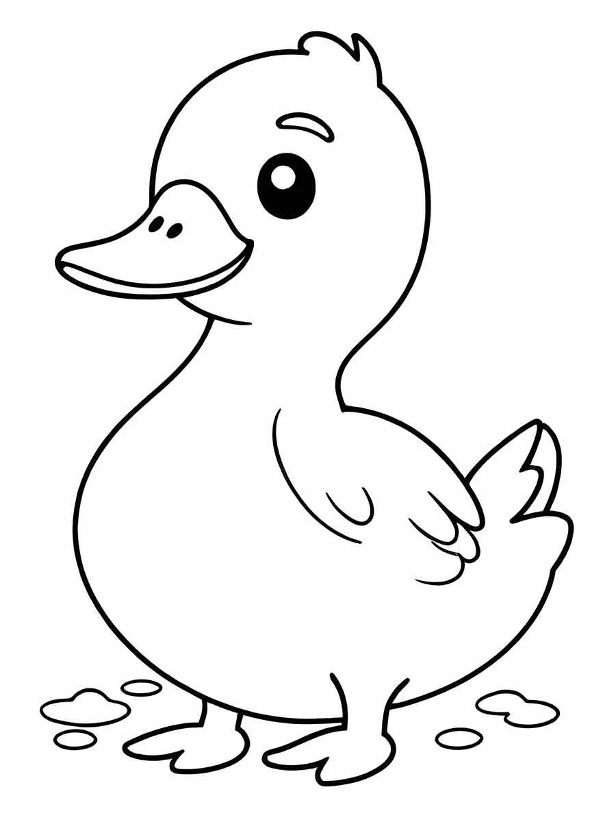 Duck coloring page (14)