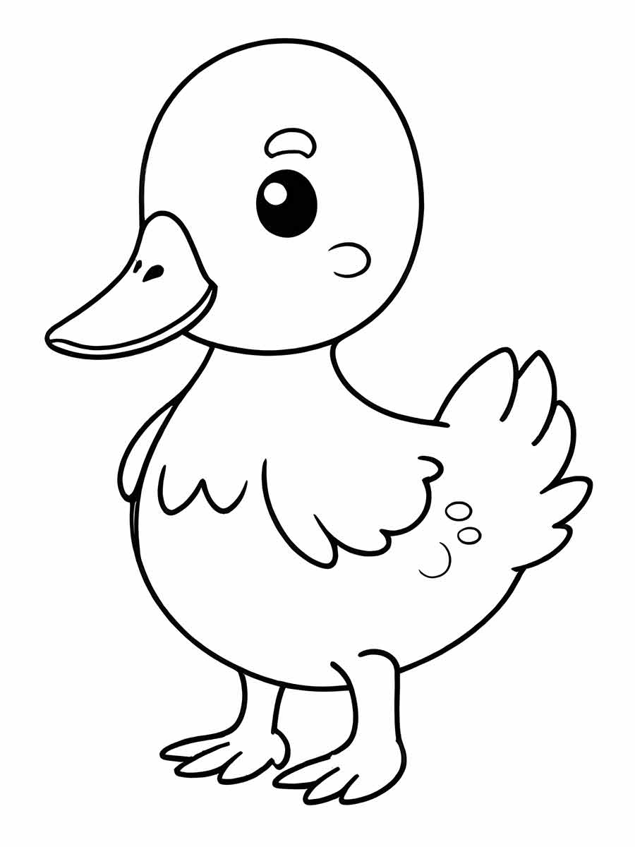 Duck coloring page (15)