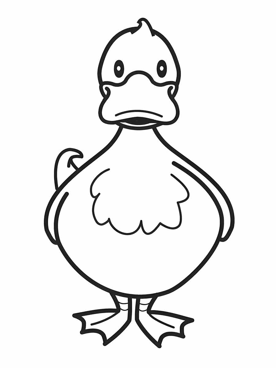 Duck coloring page (16)