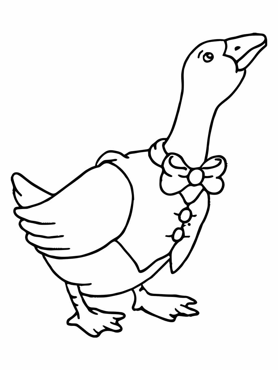 Duck coloring page (17)