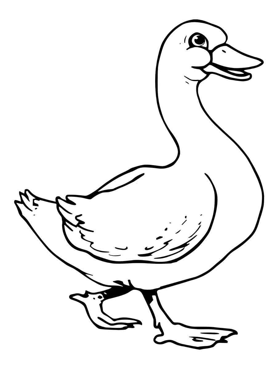 Duck coloring page (18)