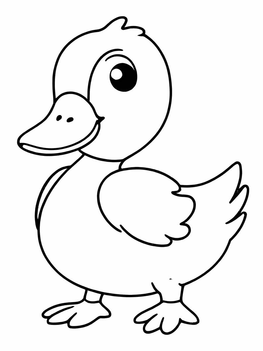 Duck coloring page (19)