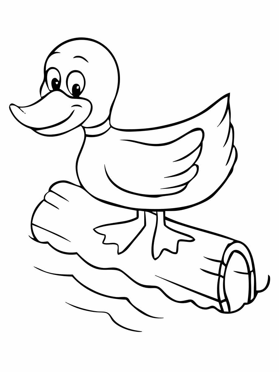 Duck coloring page (21)