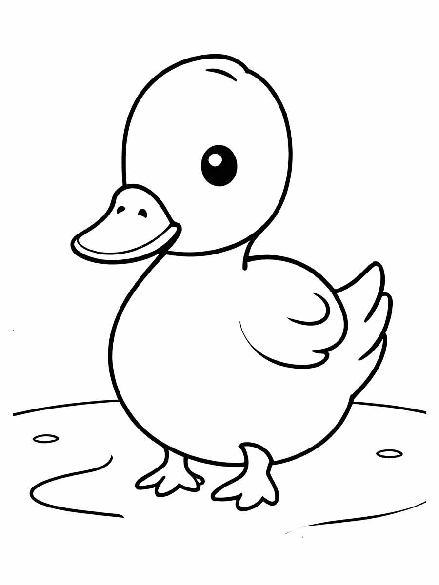 Duck coloring page (25)