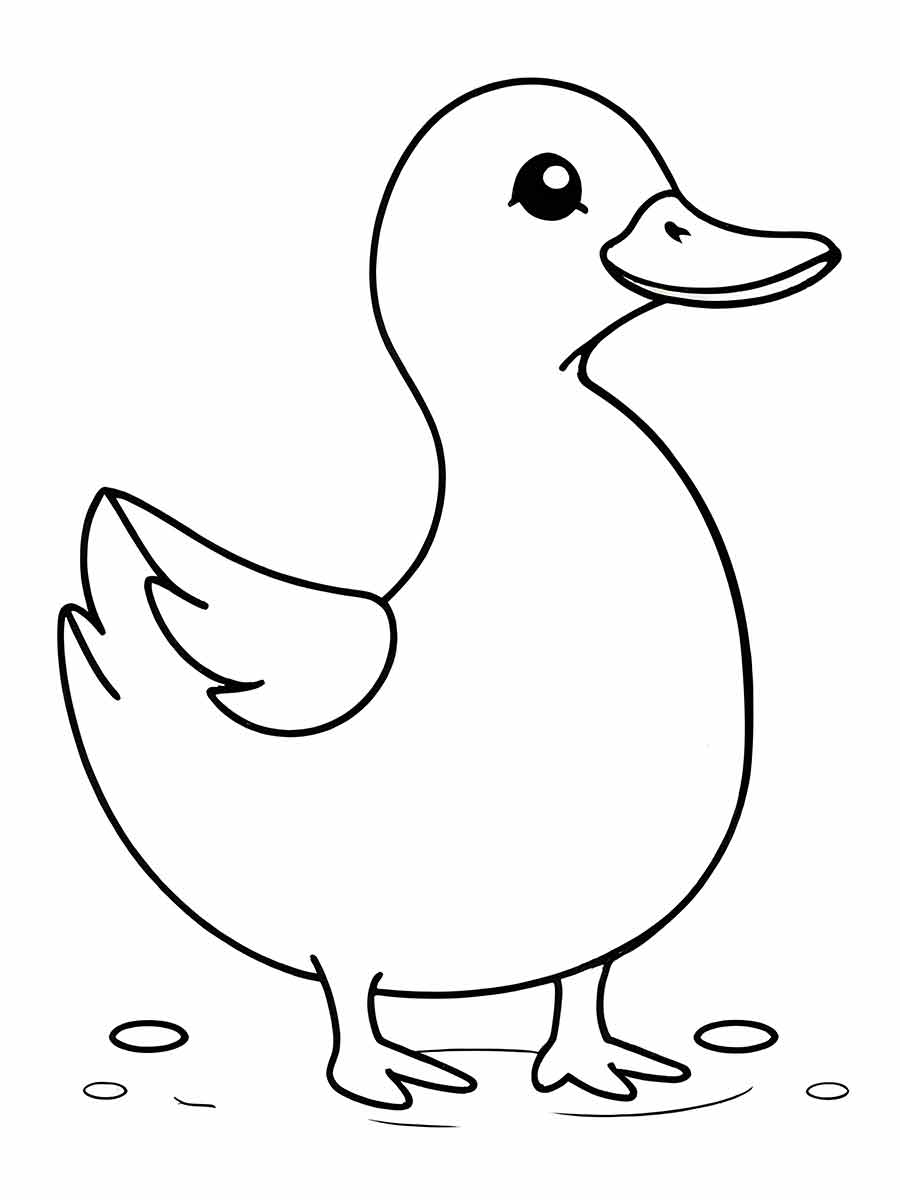 Duck coloring page (28)