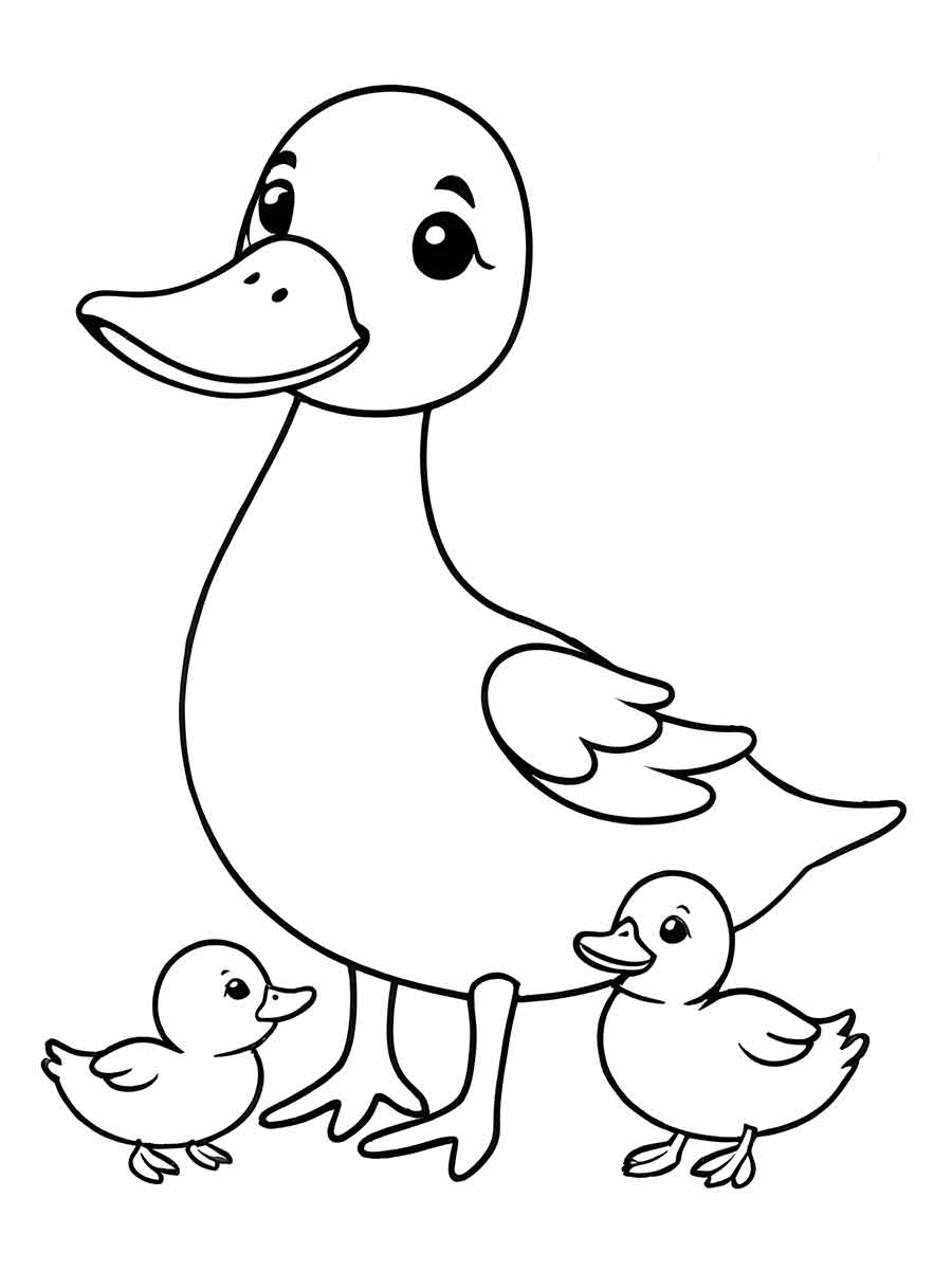 Duck coloring page (29)