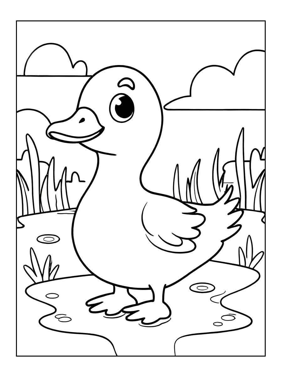 Duck coloring page (3)