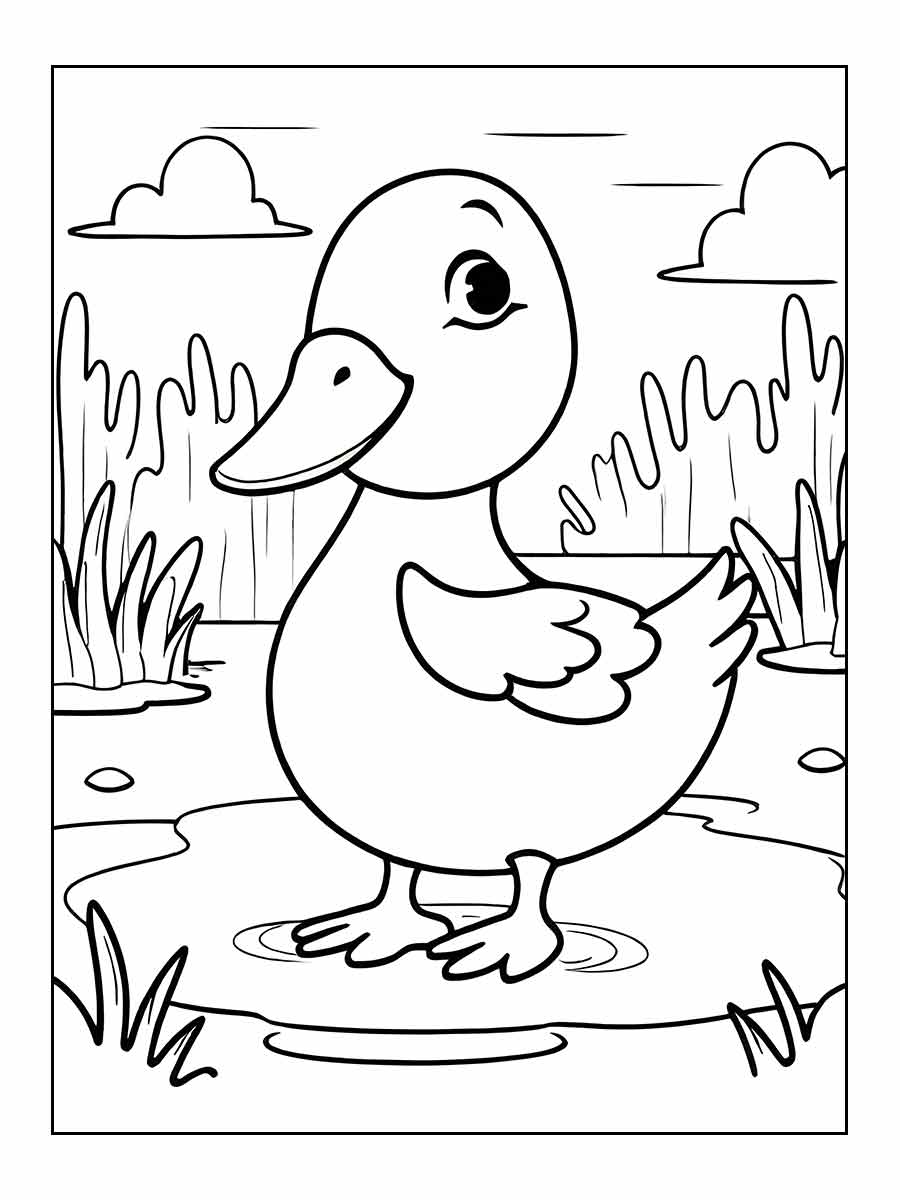 Duck coloring page (5)