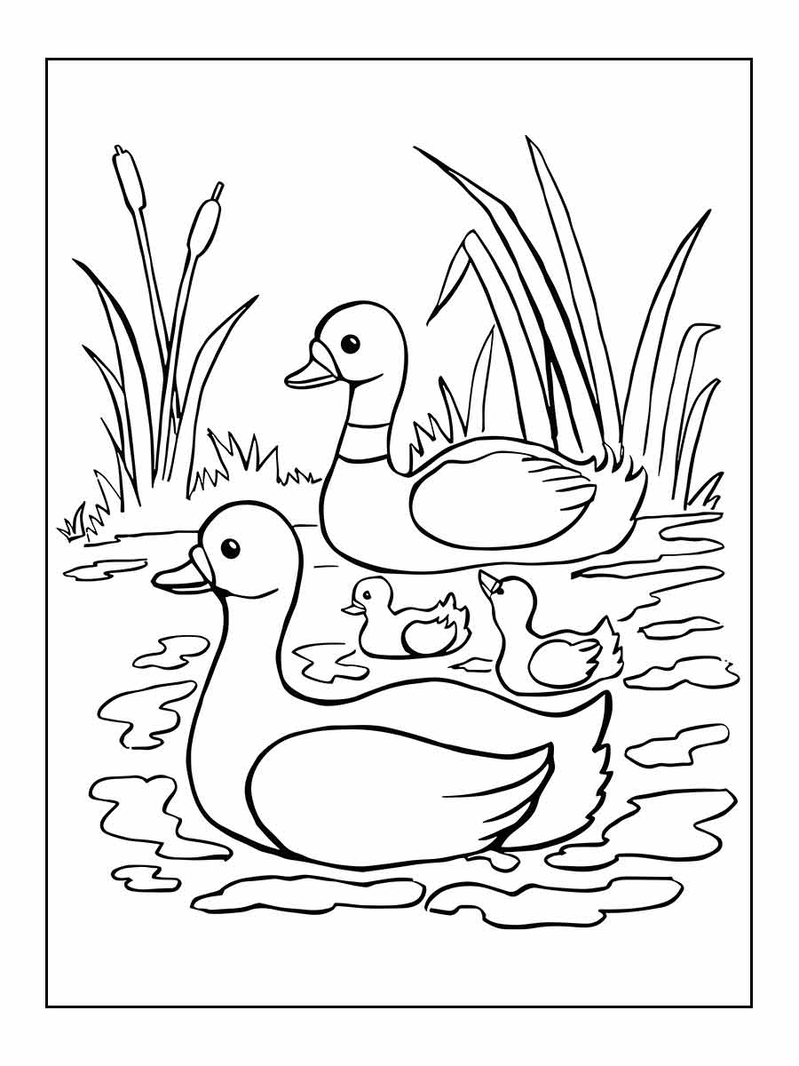 Duck coloring page (8)