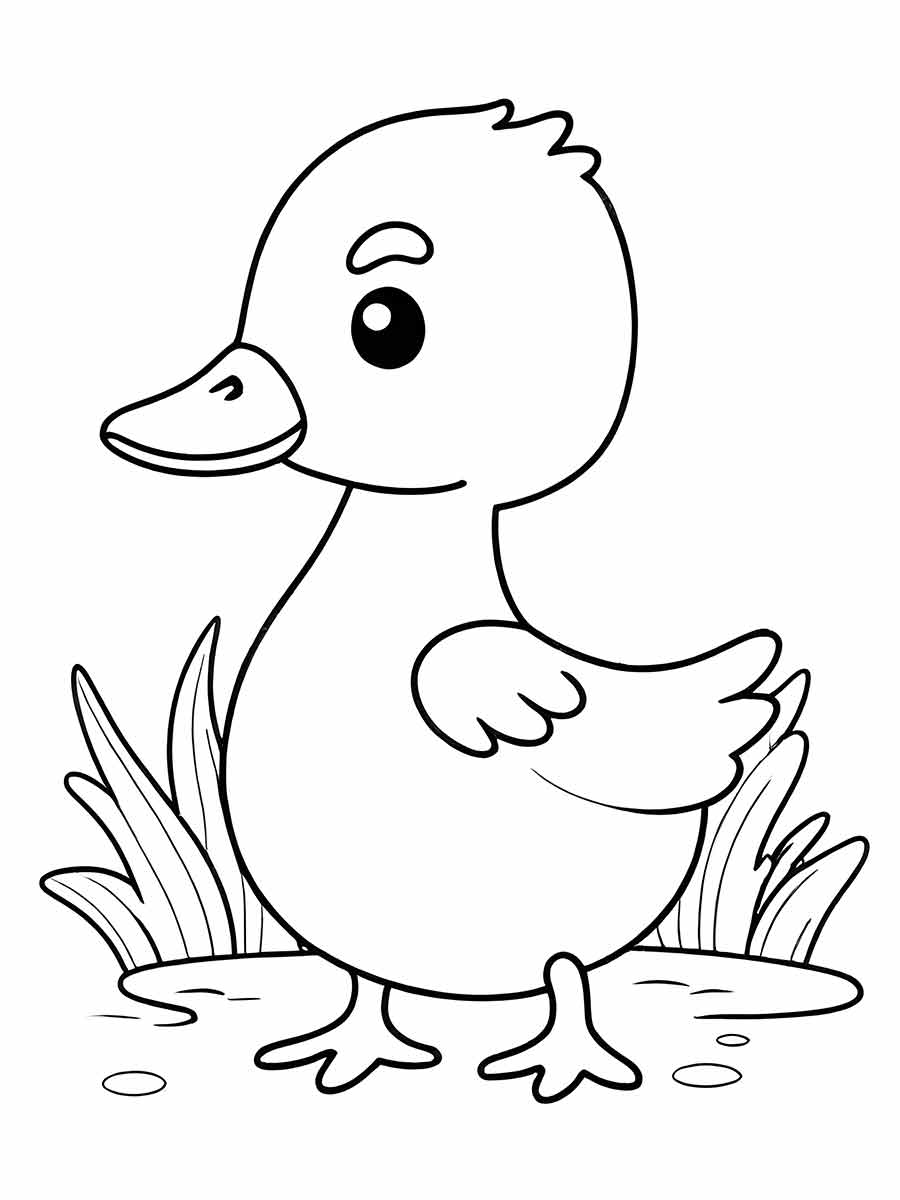 Duck coloring page (9)