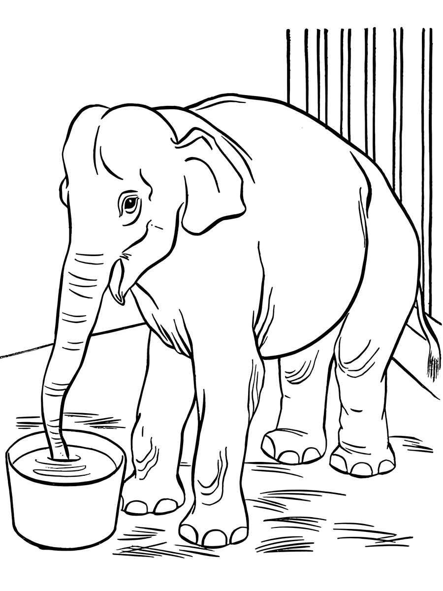 Elephant coloring page (13)