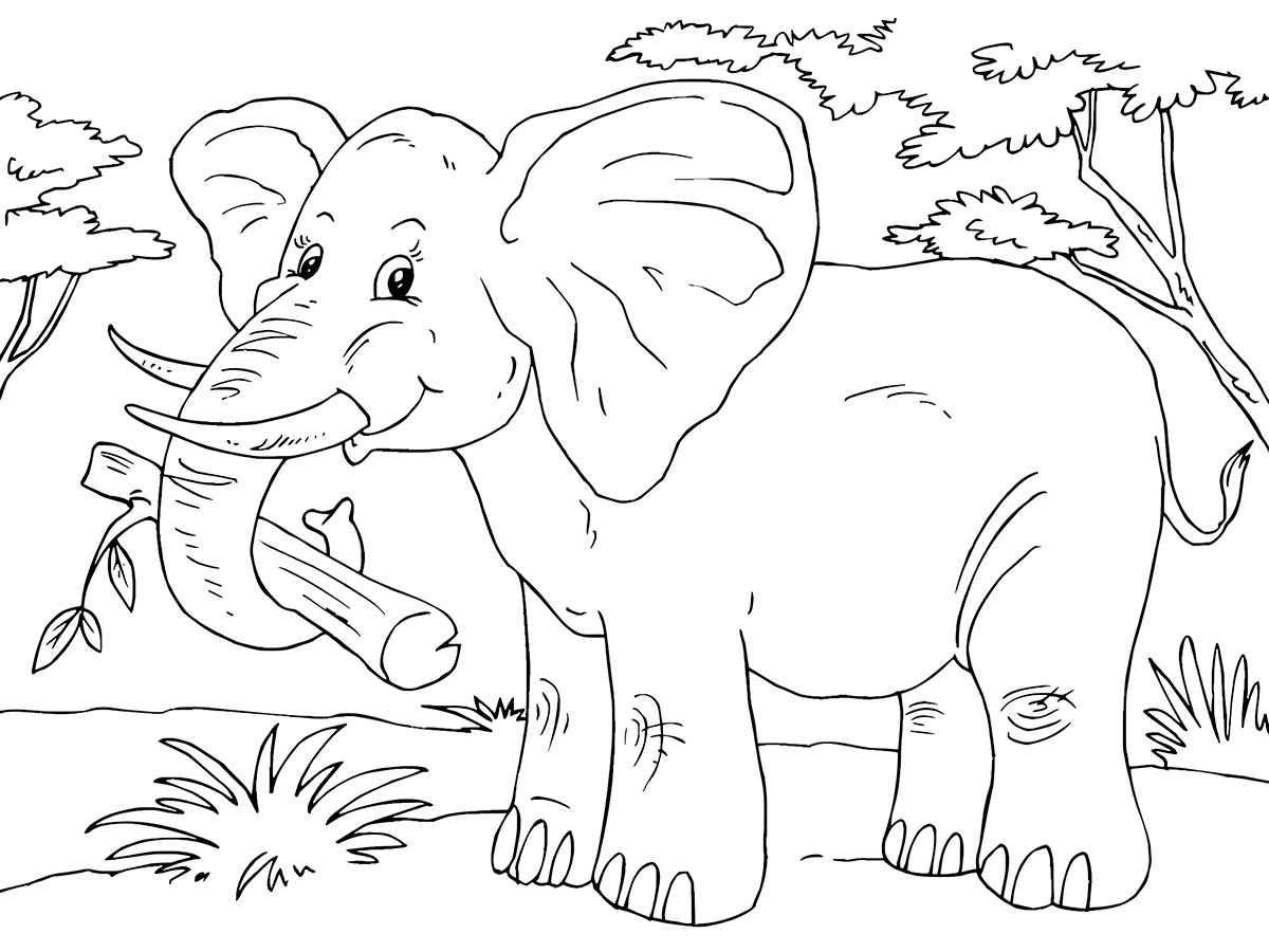 Elephant coloring page (32)