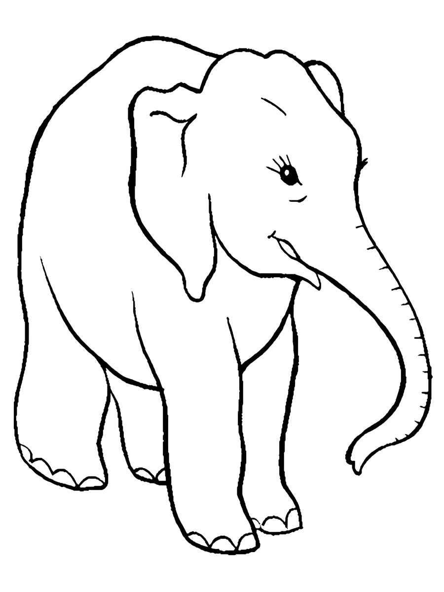 Elephant coloring page (47)