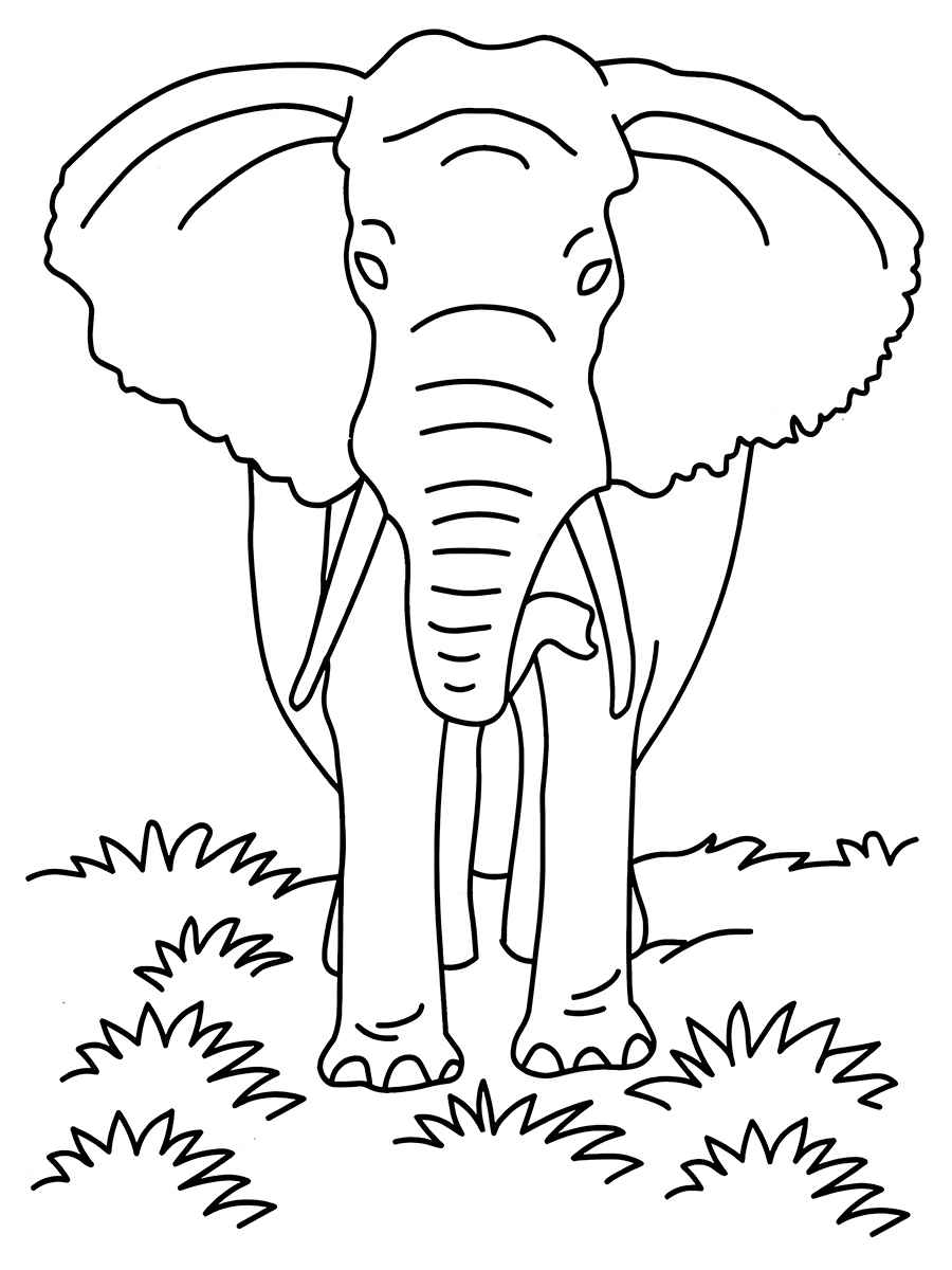 Elephant coloring page (62)