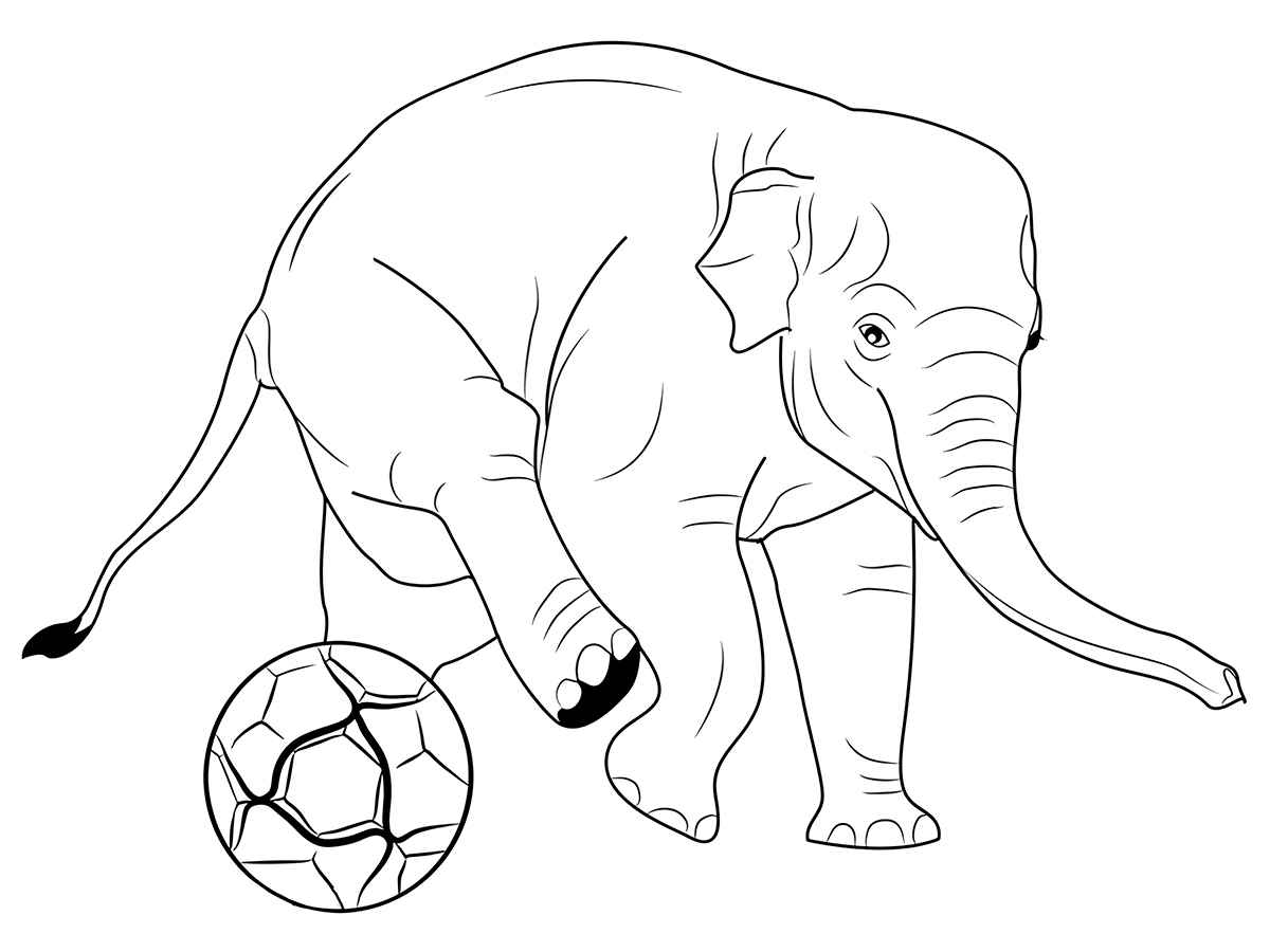 Elephant coloring page (68)