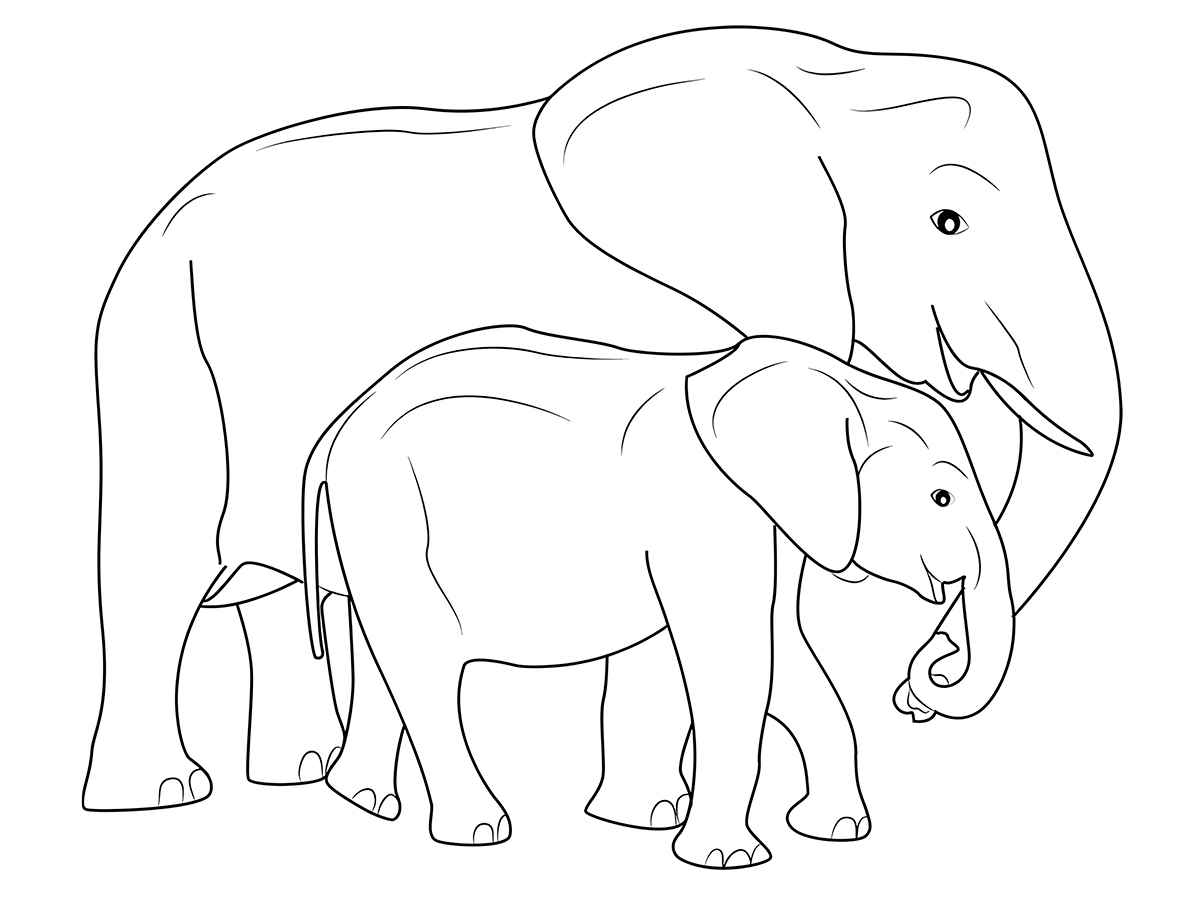 Elephant coloring page (74)