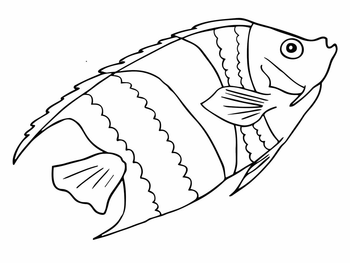 Fish coloring page (13)