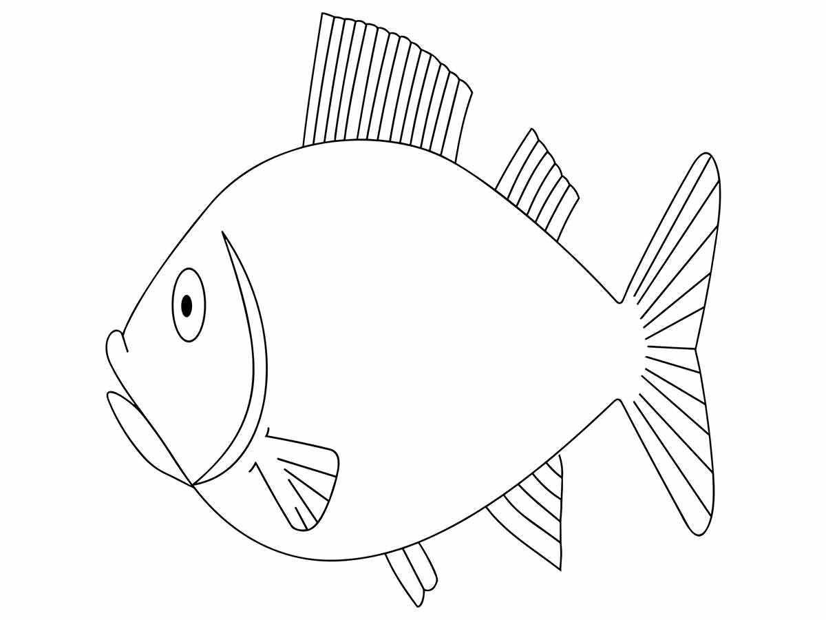 Fish coloring page (15)