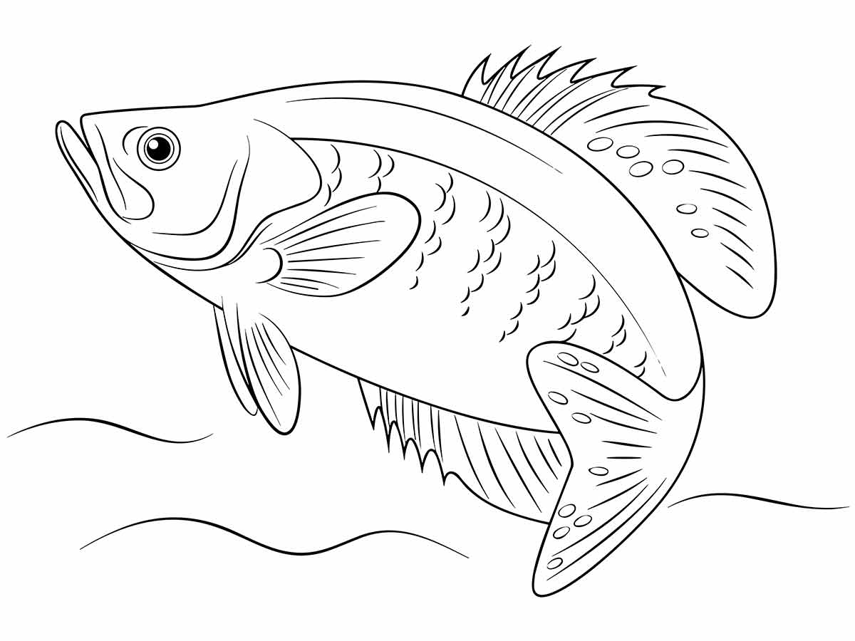 Fish coloring page (18)