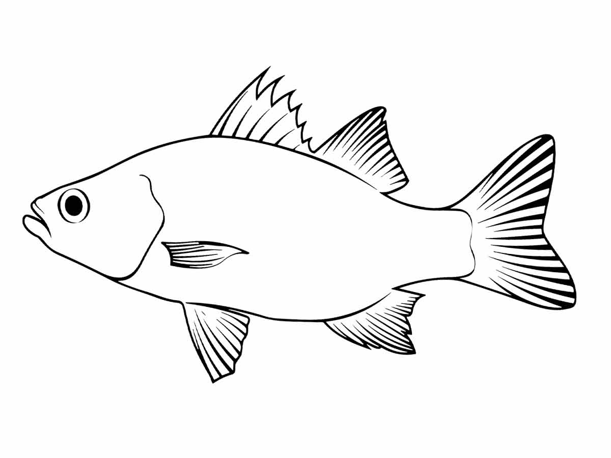 Fish coloring page (20)