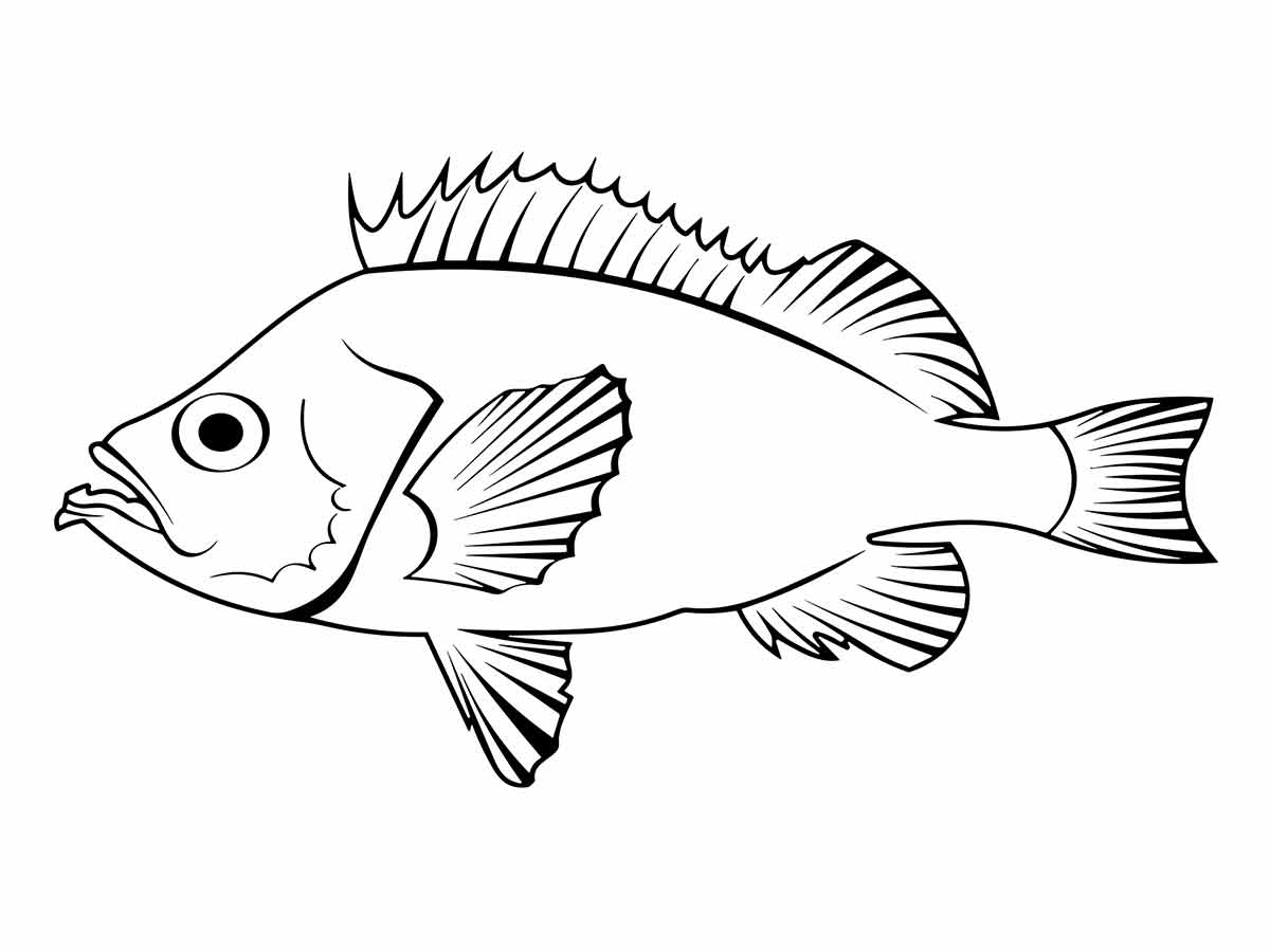 Fish coloring page (22)