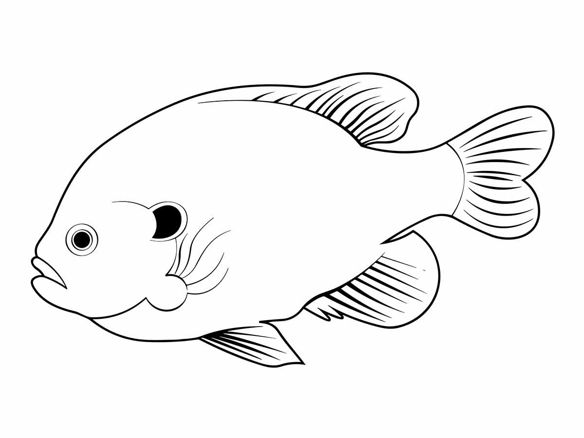 Fish coloring page (23)