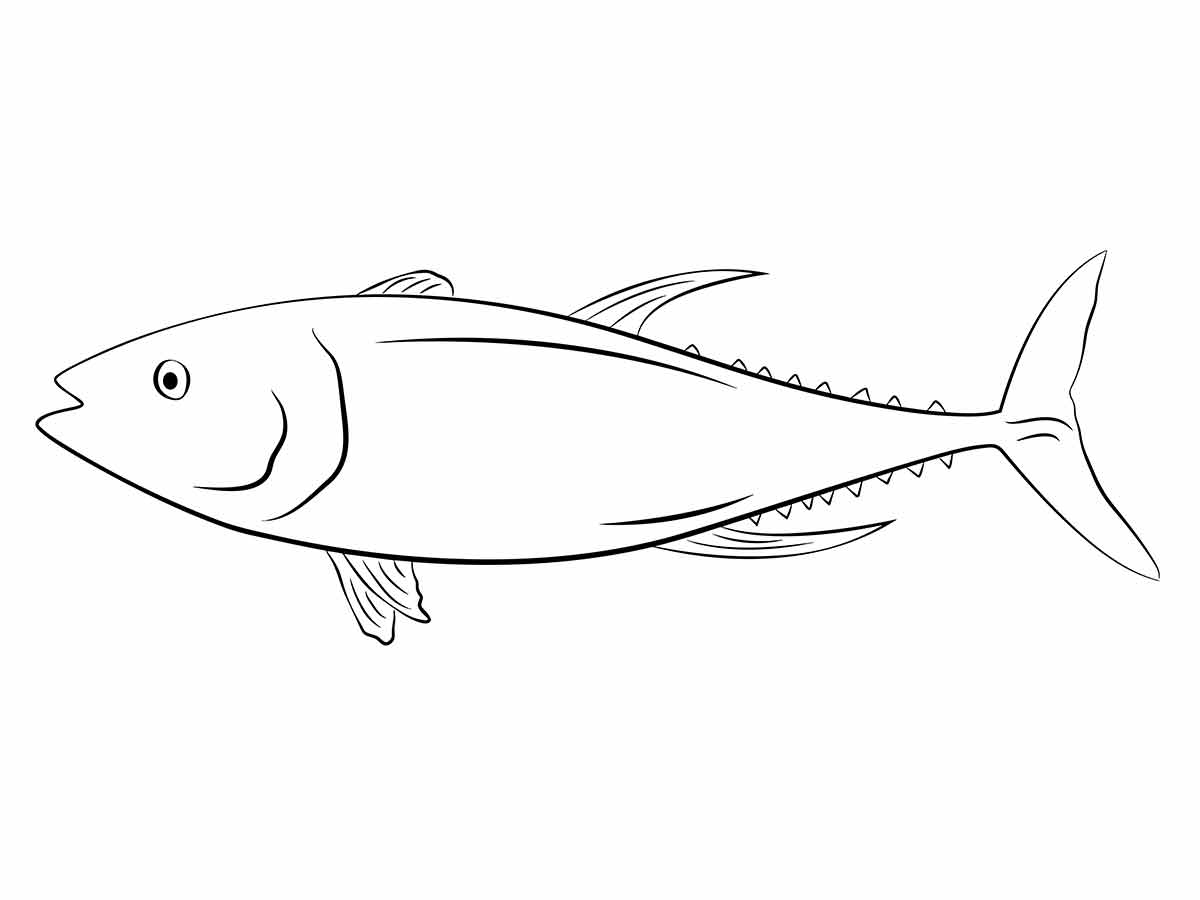 Fish coloring page (24)