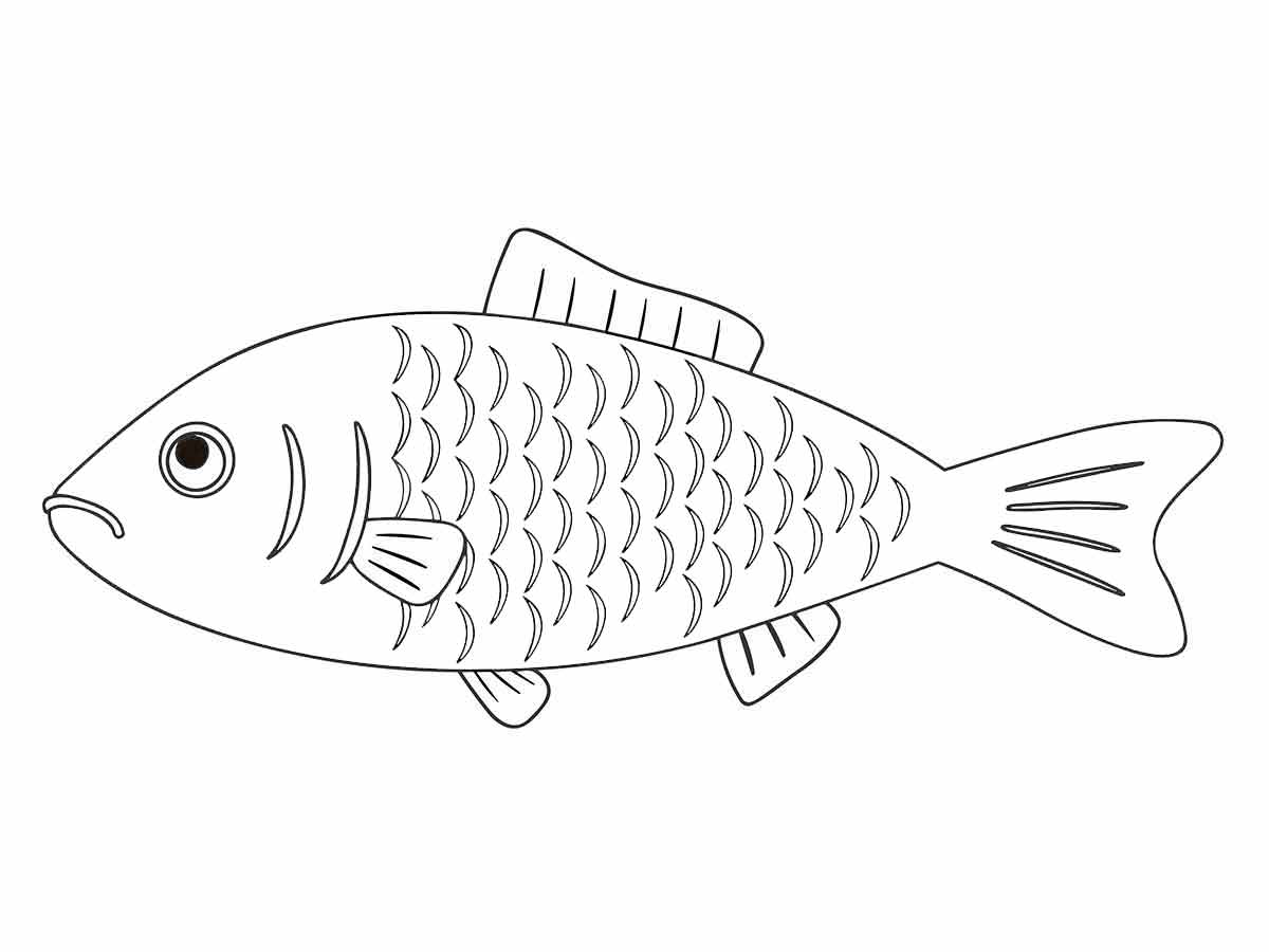 Fish coloring page (26)