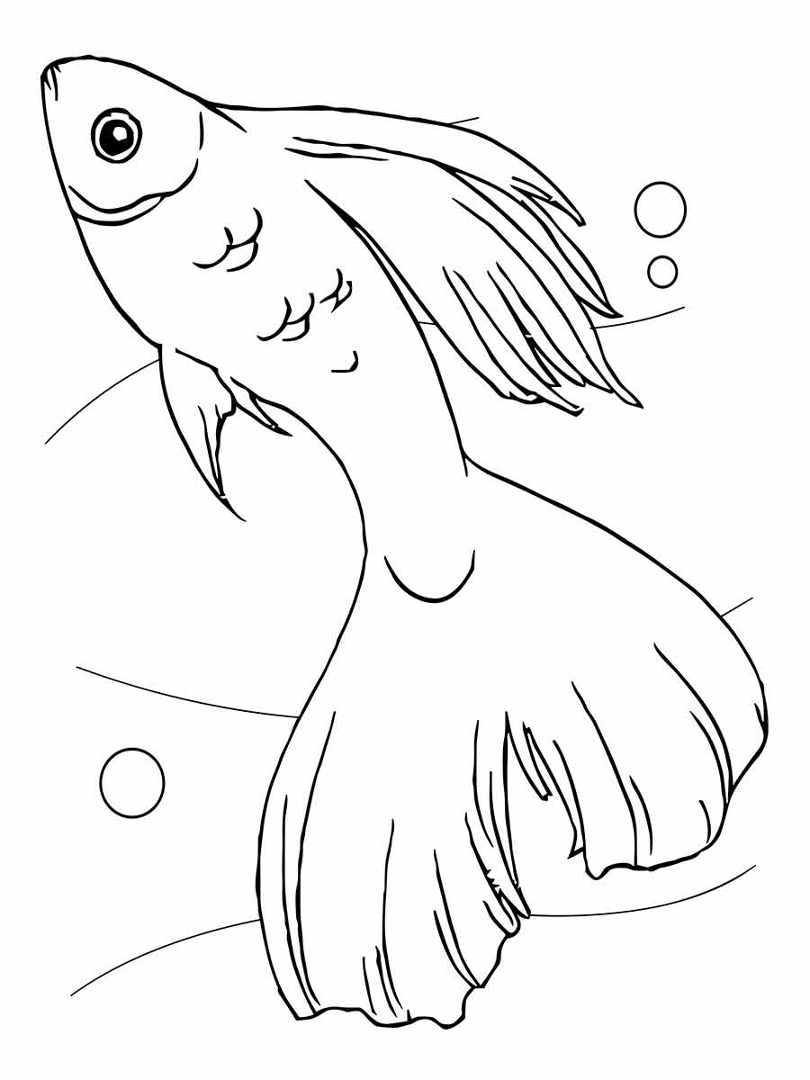 Fish coloring page (29)